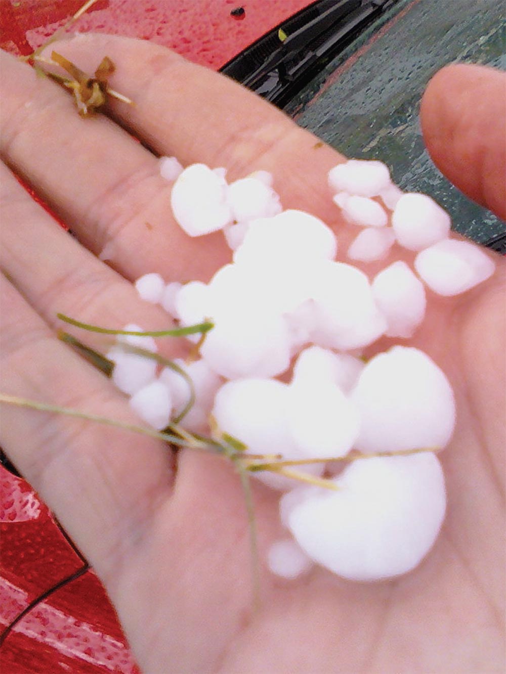 WEATHER— When Hail Attacks! 